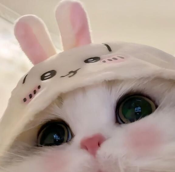 うわんっ&#9825;&#9825;