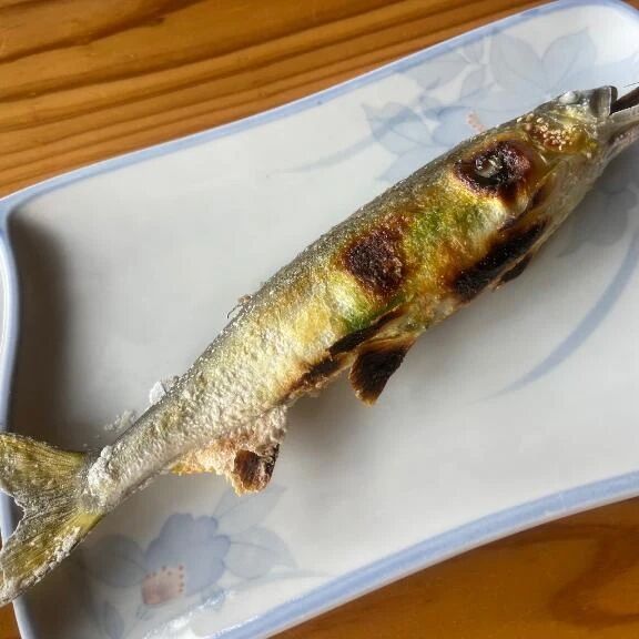 鮎&#128031;