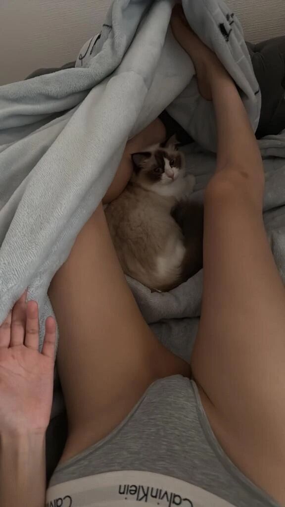 &#128049;