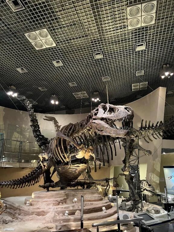 つぐみ-🦖💖