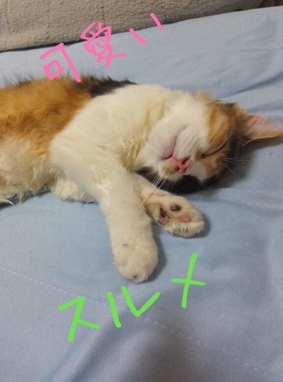 おはようございます