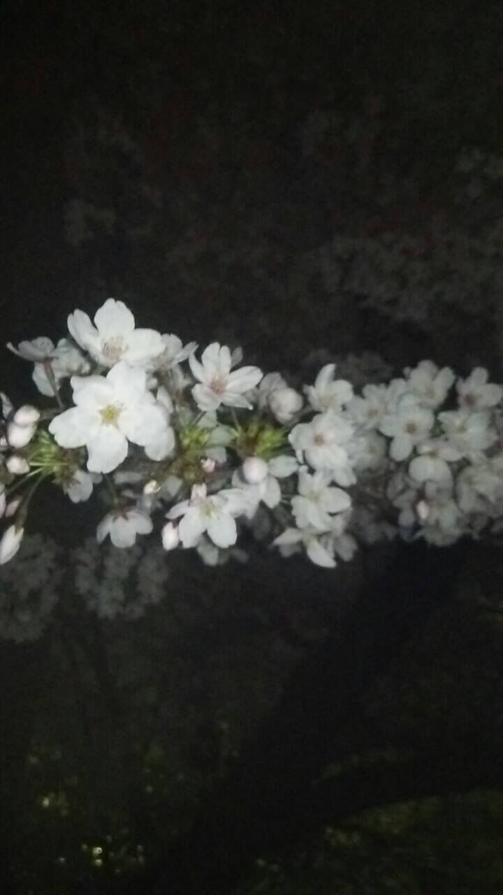よろしくお願いします