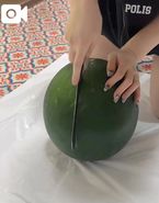 「真夏のピークが去った」