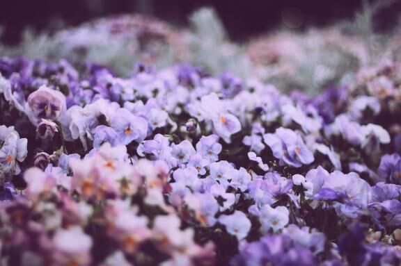 オススメ&#9825;