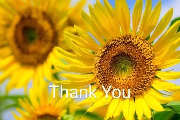 Thanks☆★