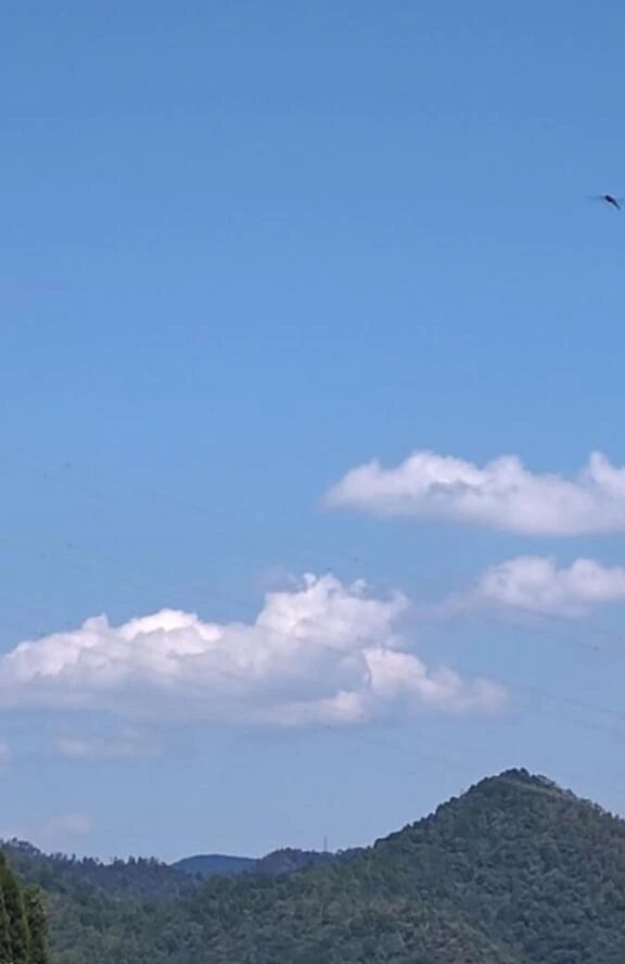 李こんにちは李