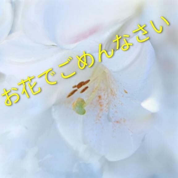 ご無沙汰してます&#128524;