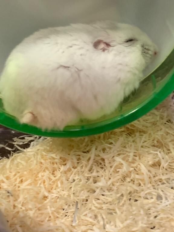 しゅ&#9825;