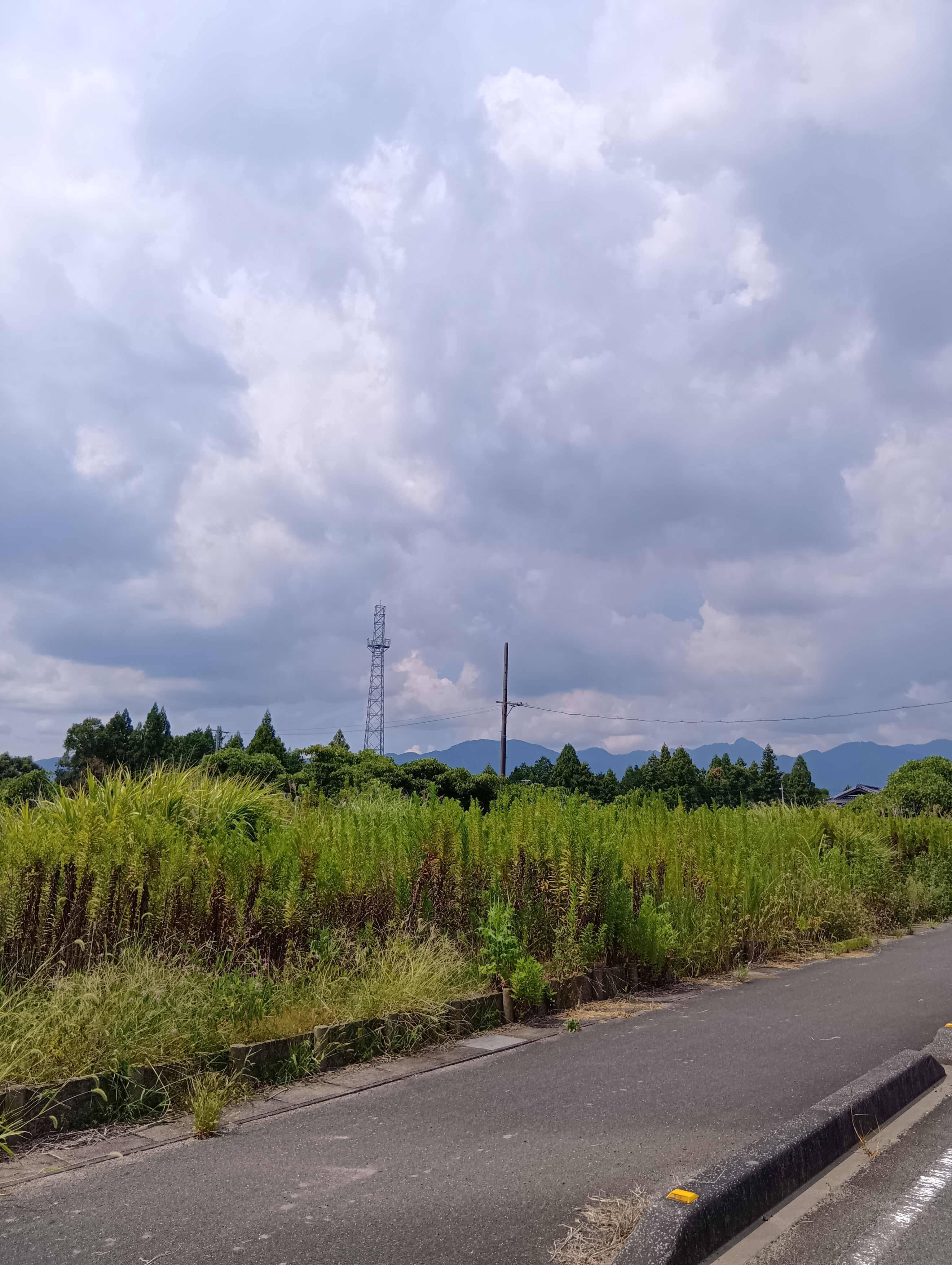 こんにちは&#9728;