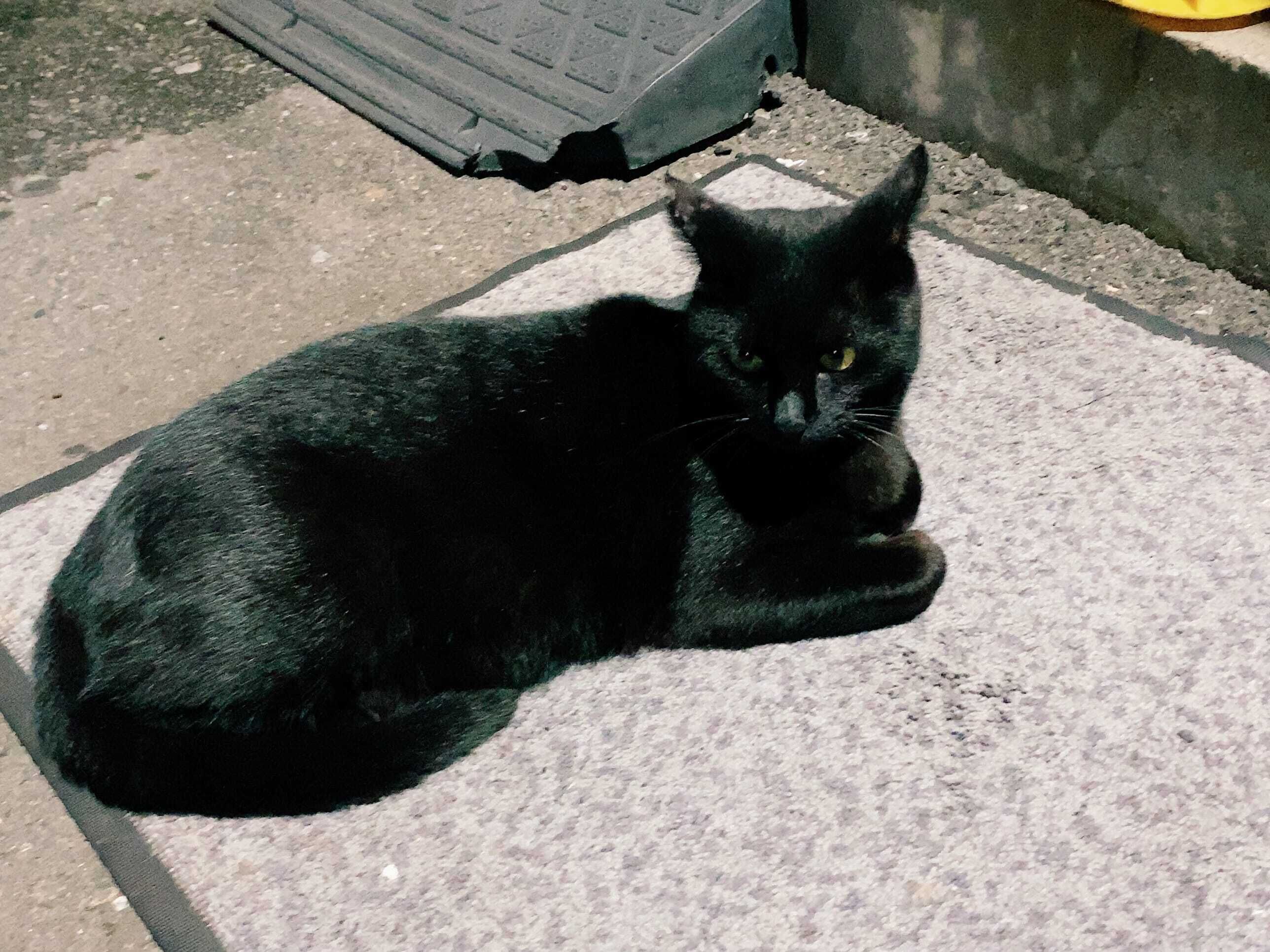 出勤しました♪