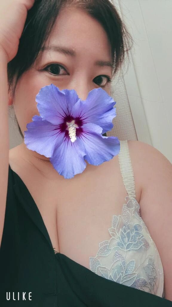 日→土曜日