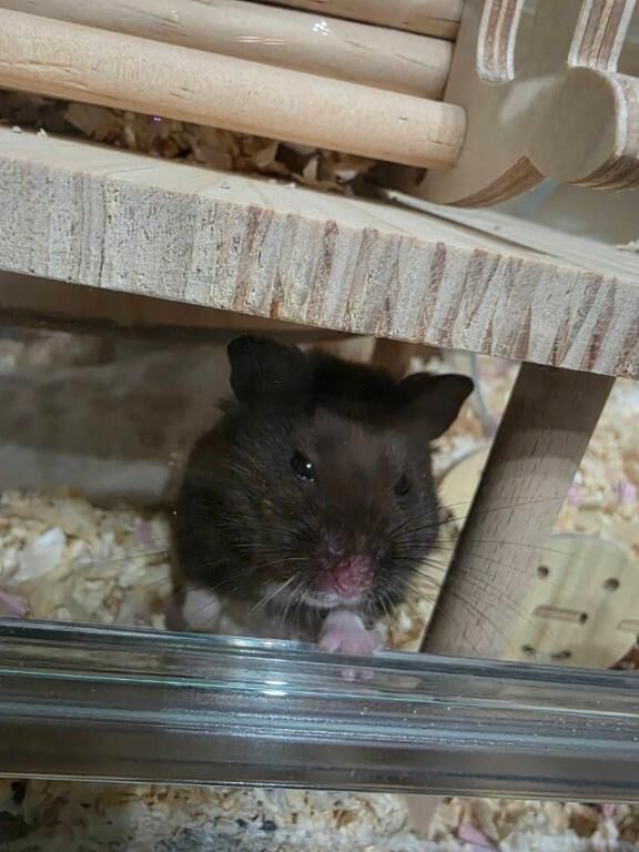 新しく､､&#9825;