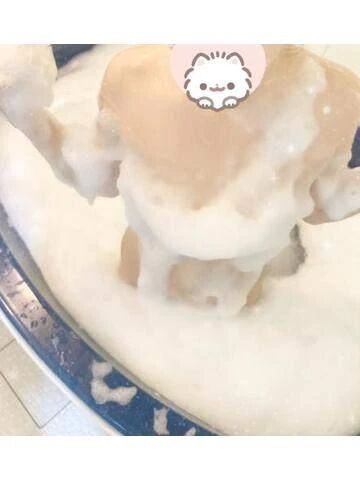 ダメって言わないでください！