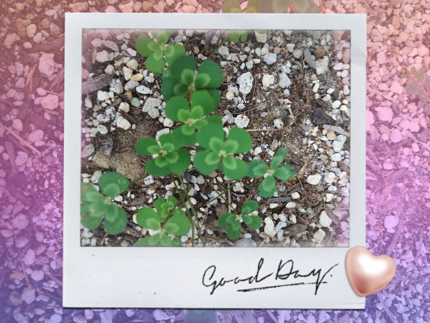 チャンス到来&hearts;&#65039;&hearts;&#65039;&hearts;&#65039;