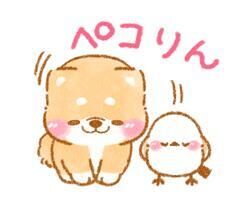 &#10084;&#65039;あした&#10084;&#65039;