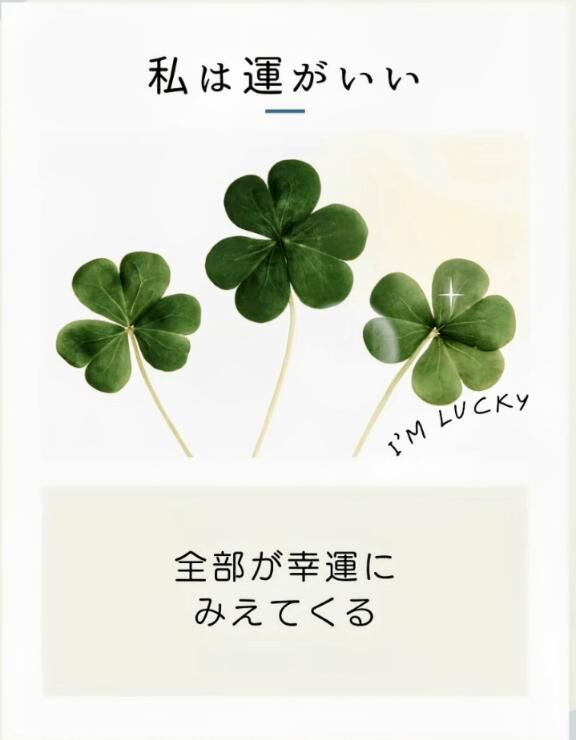 20:30から頂いてます