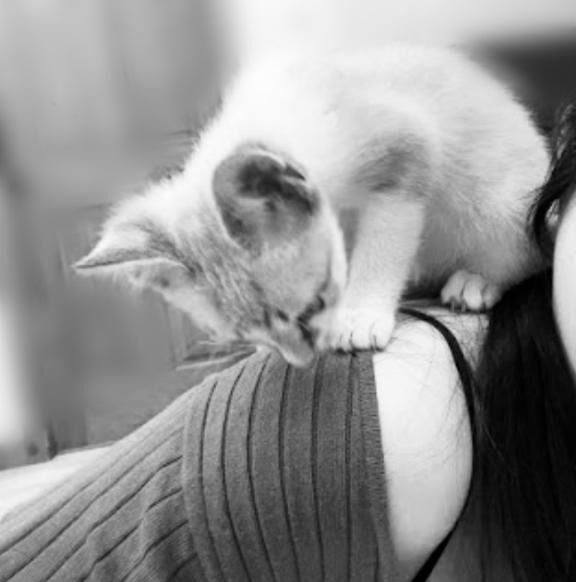 オレサマのお通り&#128008;