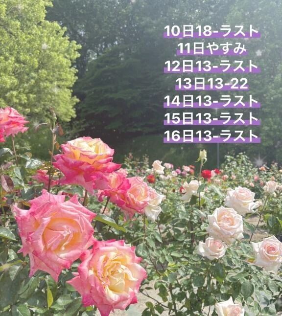 来週の予定&#128151;