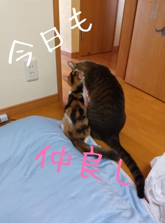 おやすみ前に
