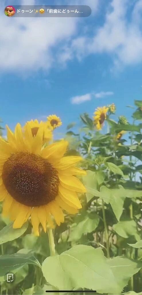 おはようございます
