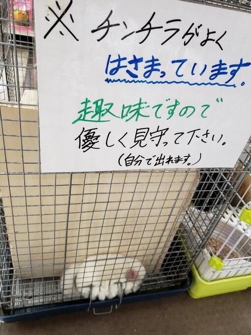 出勤しまーす！