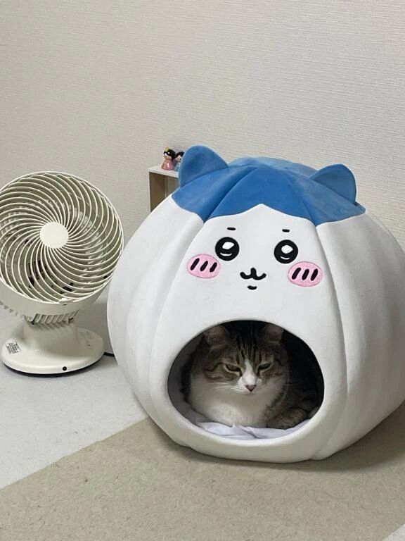 洗濯日和