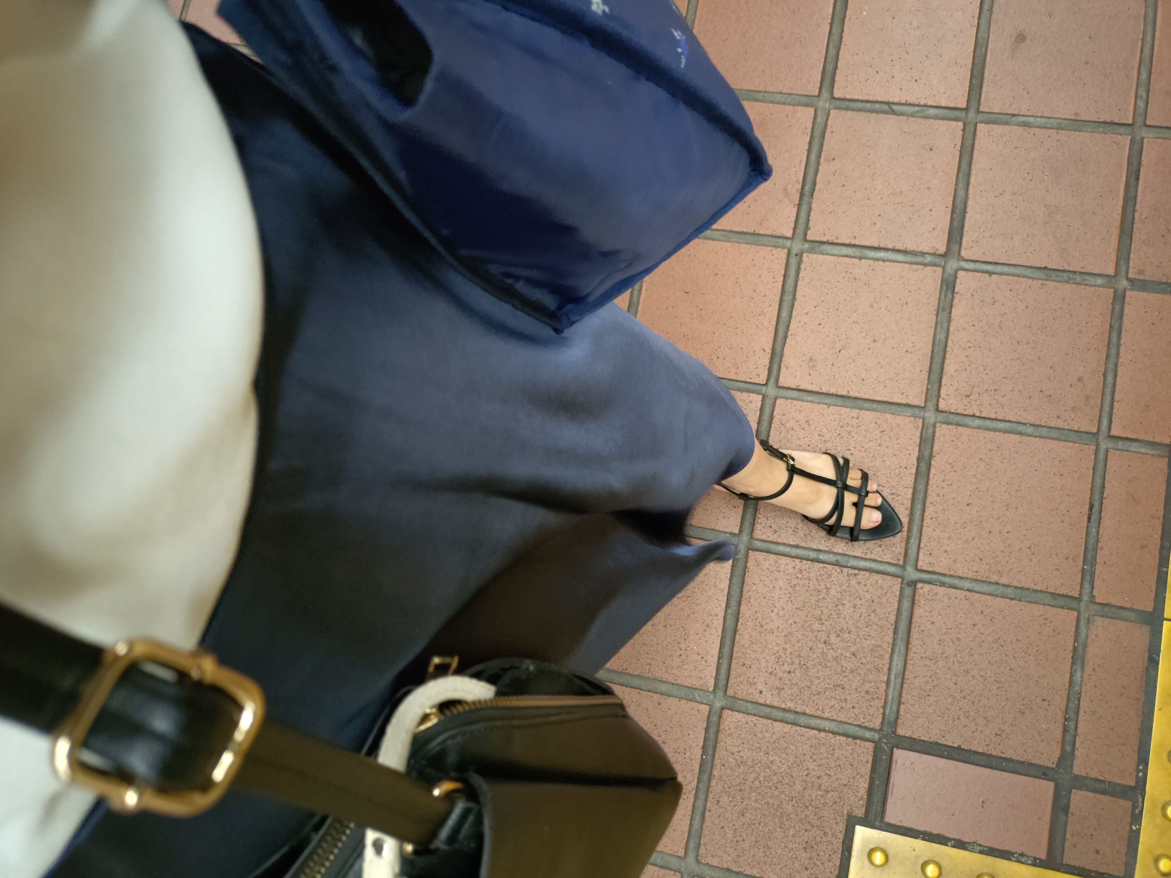 せーいーらー