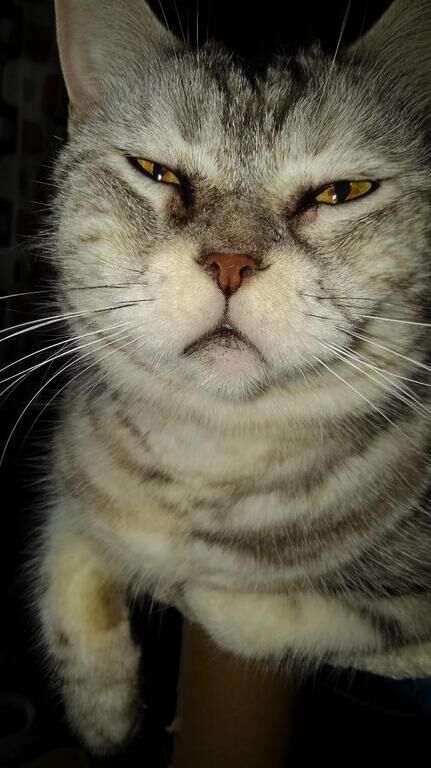 綺麗になれますか