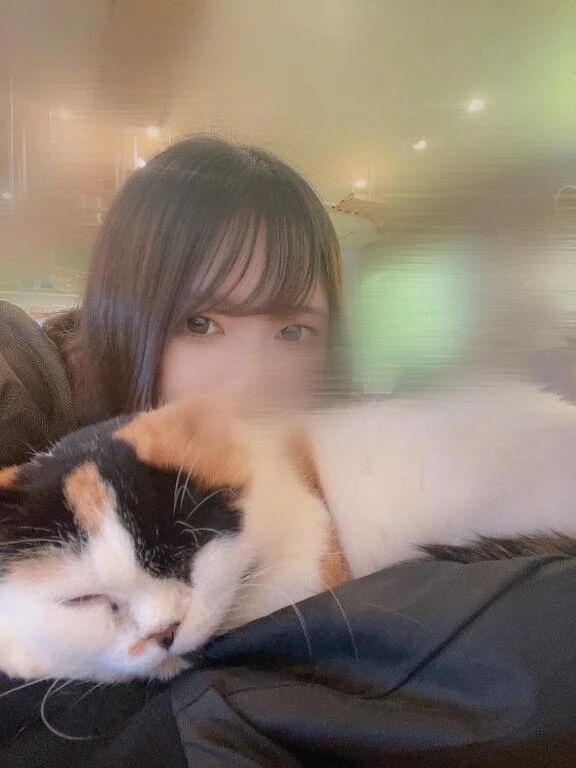 今日から！