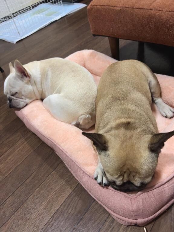 仲良し&#9825;&#9825;