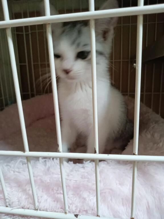 &#129437;おはようございます&#128048;