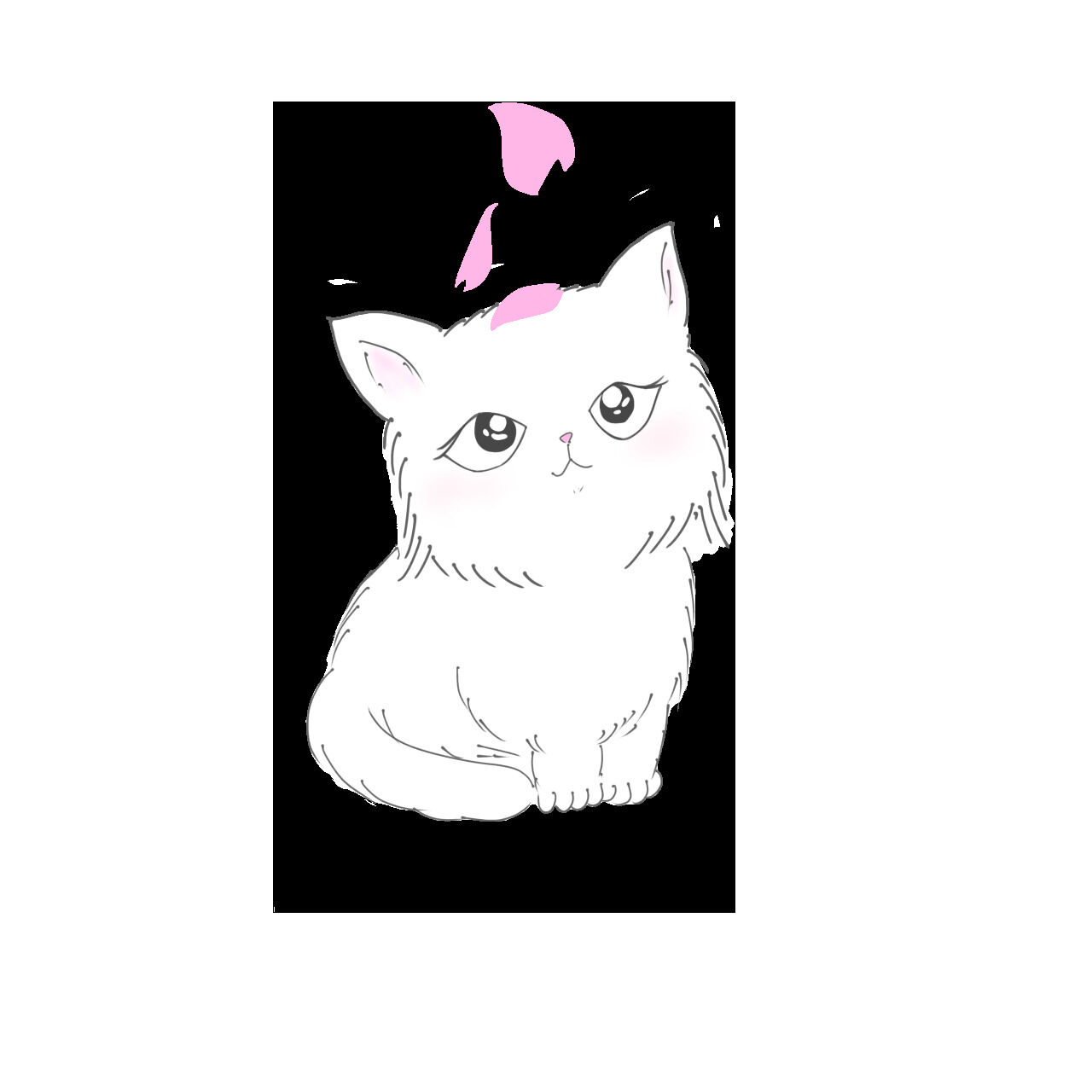 50分に