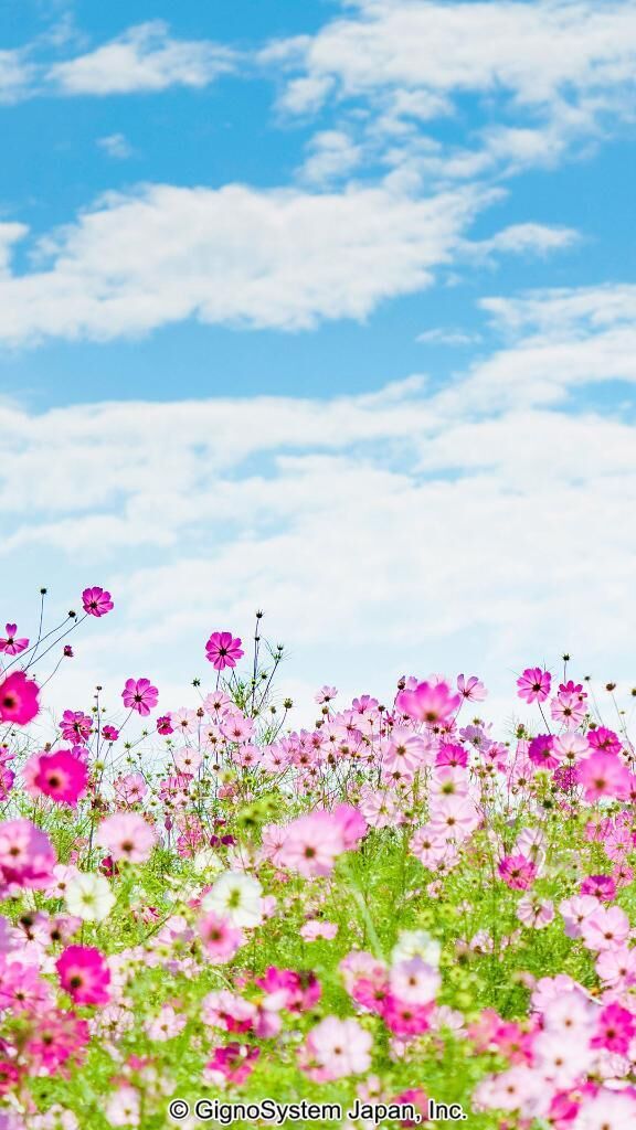 こんにちは&#9825;