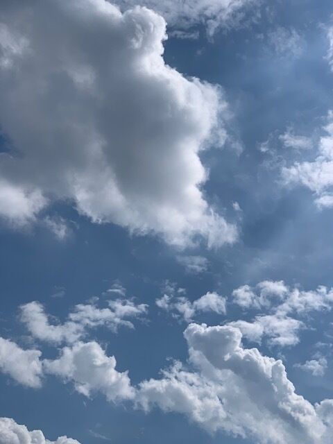 出勤しました&#128578;&#9836;