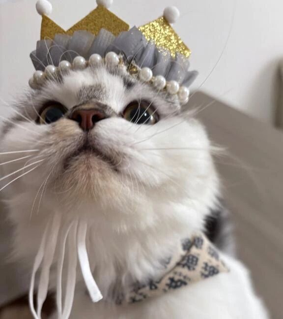 我が子の誕生日&#127873;