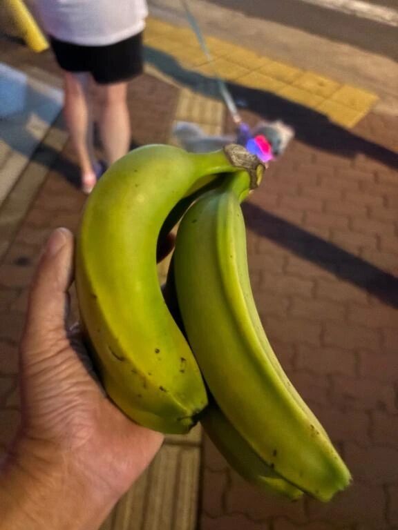早めの晩御飯