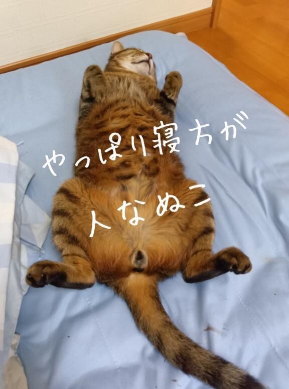 おはようございます