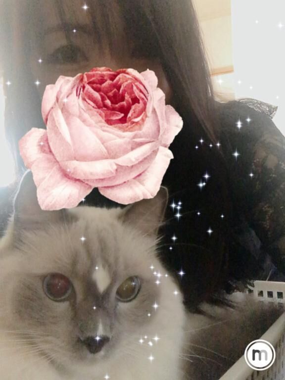 今日のhappy。