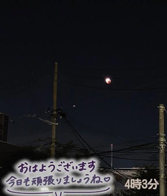 見ましたか？
