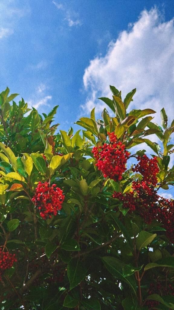 おはようございます。