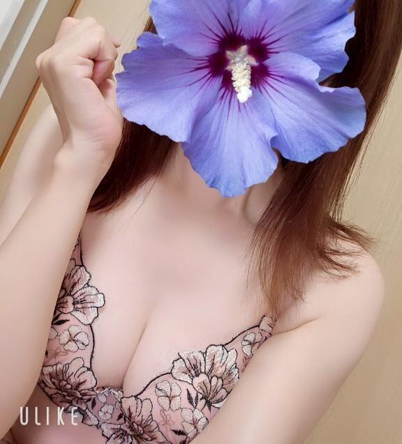 [お題]パイ○ンの………
