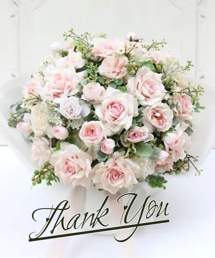 ありがとうございました