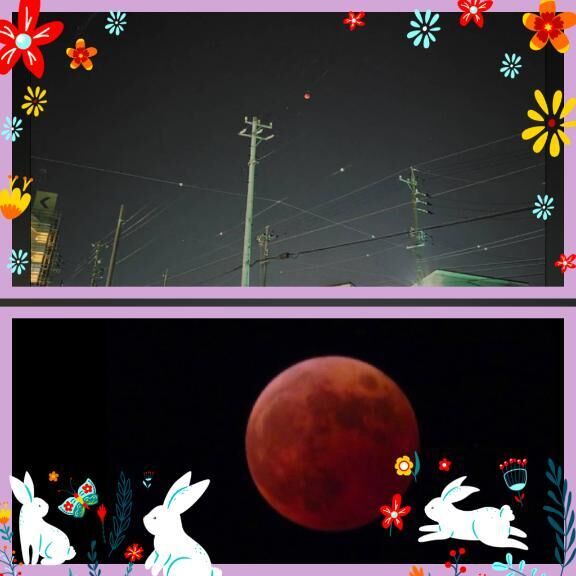 昨日はありがとうございました&#9825;