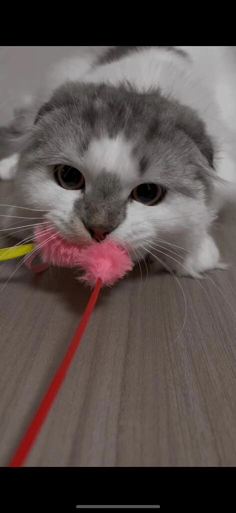 ハグの効果&#127926;