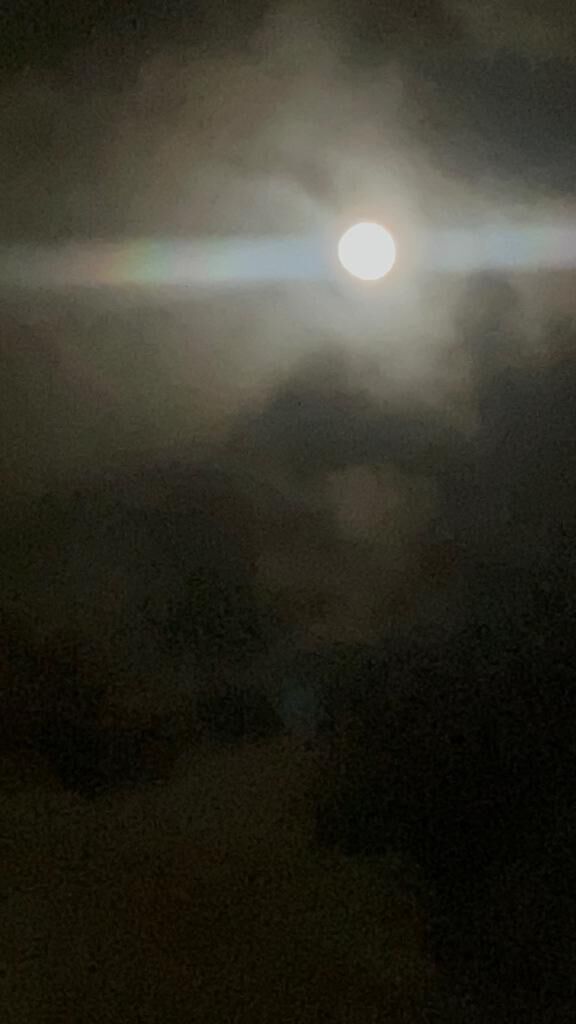 昨日のありがとうでした