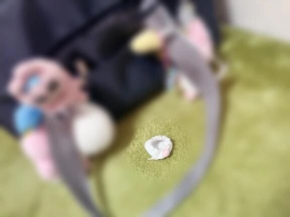 パンツが脱げたうさぎ