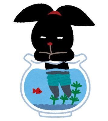 こんにちは