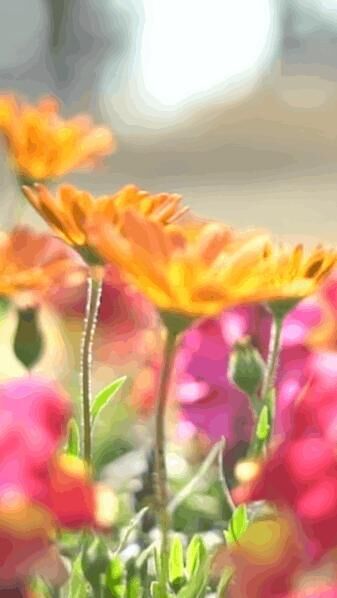 前日のお礼です&#9825;