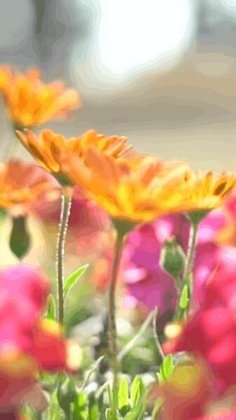 前日のお礼&#9825;