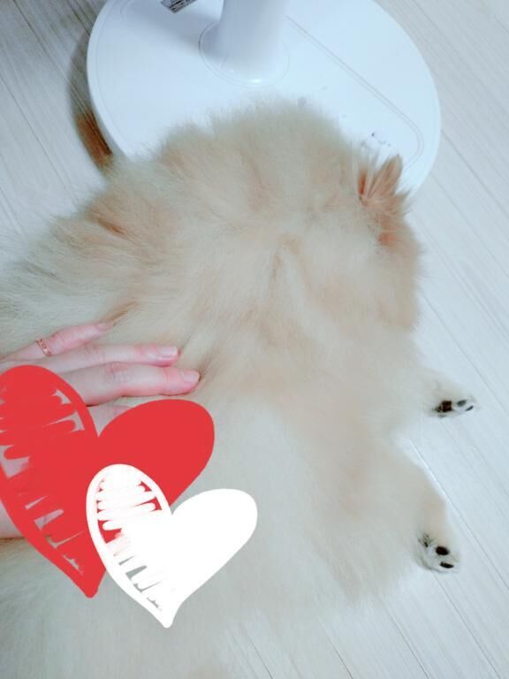 おは&#x301C;&#9825;&#9825;